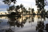 The flooded campground at dusk at Curtain Springs, 100km east of Uluru