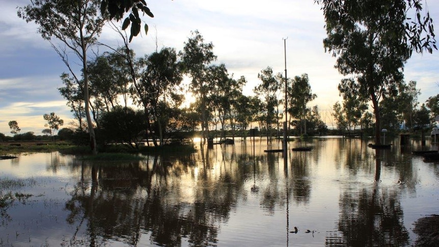 The flooded campground at dusk at Curtain Springs, 100km east of Uluru
