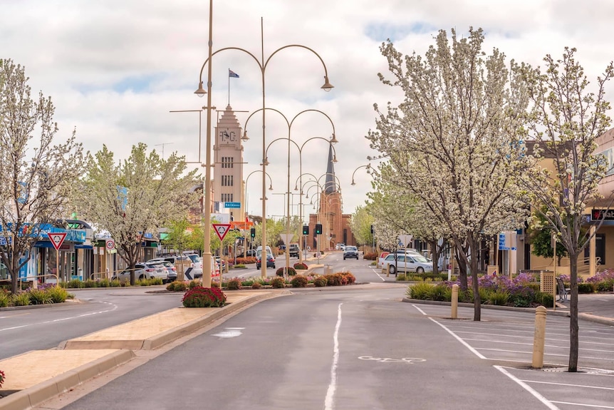 The main street of Horsham with trees on either side of the road and a church in distance 