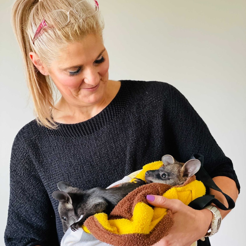 Lisa Low, a wildlife carer holds two joey's.