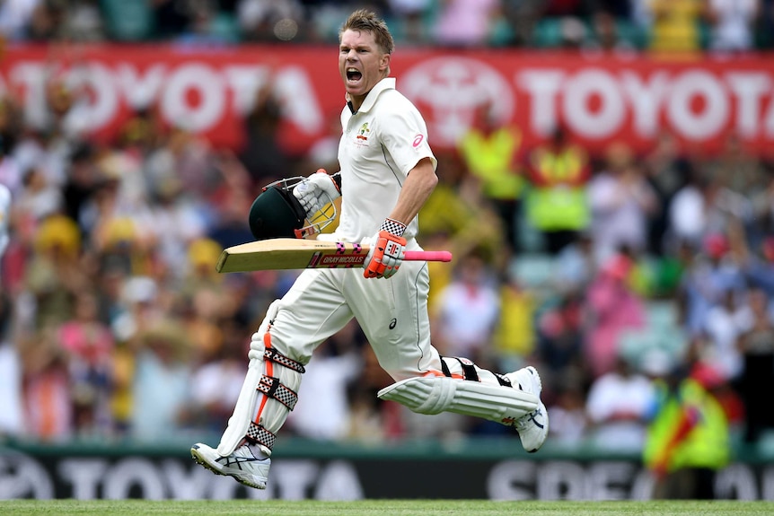 David Warner celebrates a century