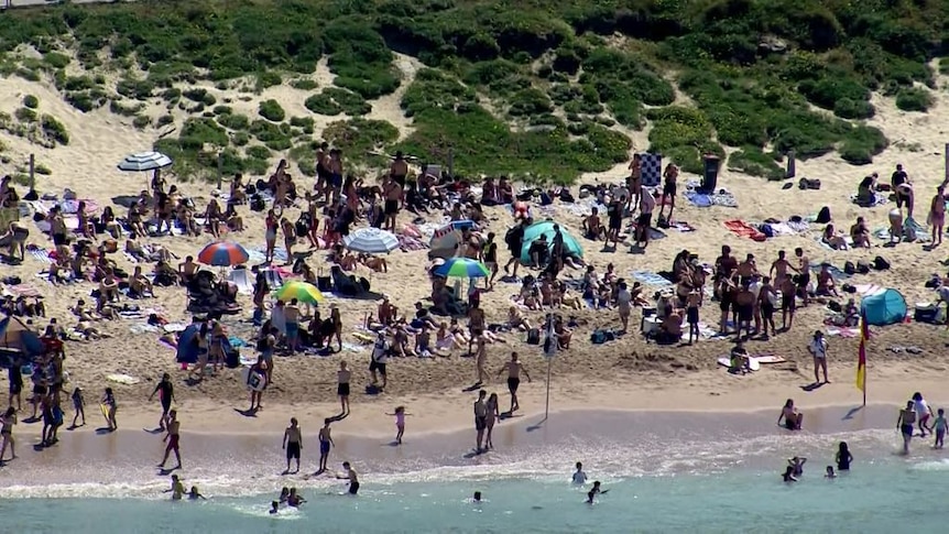 Crowds pack Sydney's Cronulla Beach - ABC News
