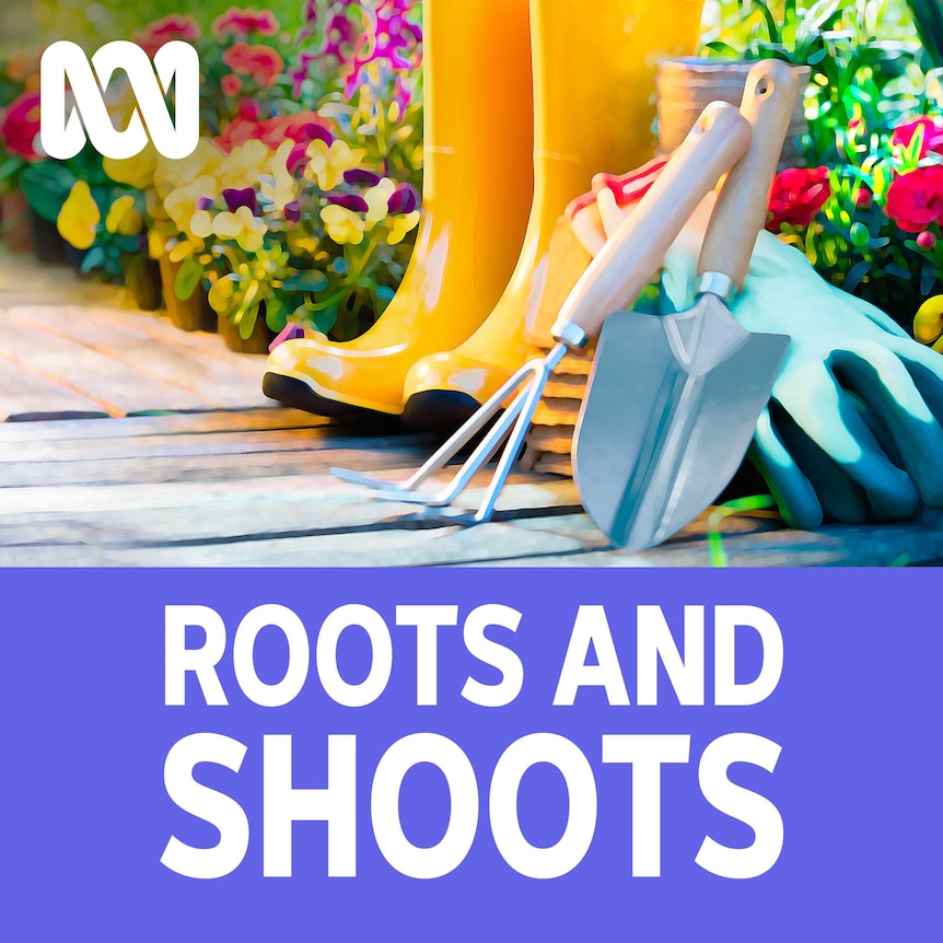 Pair of yellow wellies and gardening tools against a background of flowering plants.