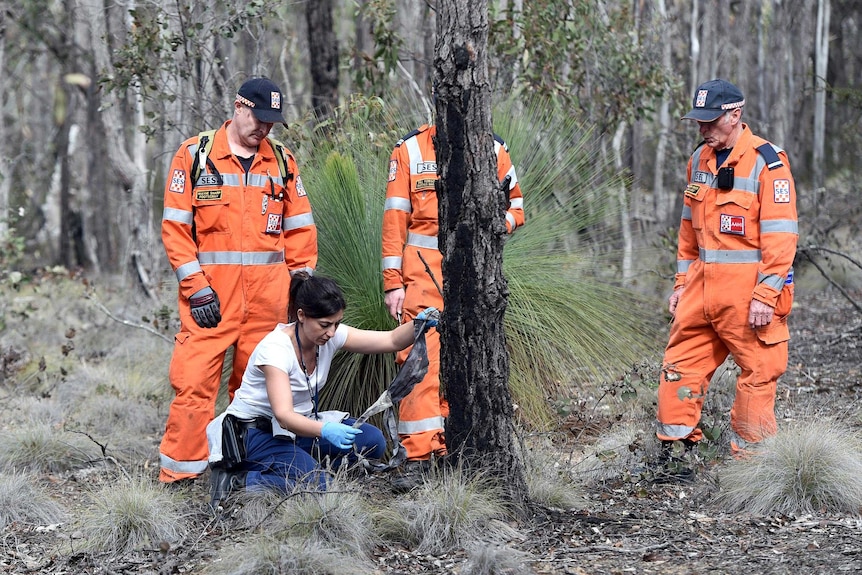 A crouching police investigator holds a piece a fabric as SES workers stand next to her in scrub.