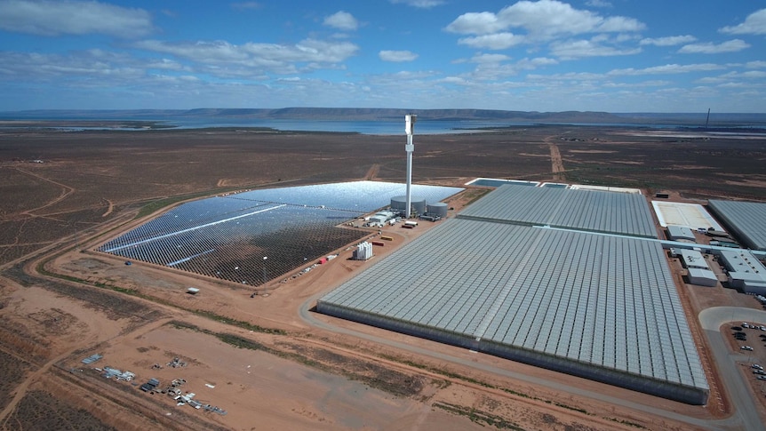 Sundrop Farm on the outskirts of Port Augusta, which uses solar energy to desalinate water and grow tomatoes.