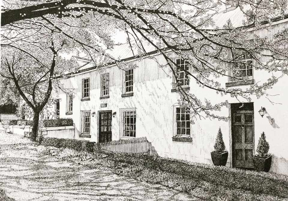 Artist's fantasy of drawing 'stunning' houses of Hobart opens door to