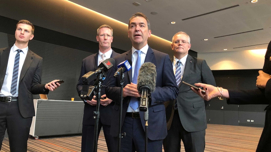 Steven Marshall SA interconnector announcement