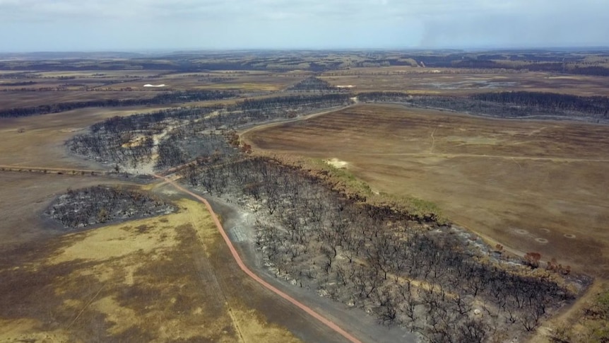 An aerial view of burnt-out areas of Kangaroo Island.