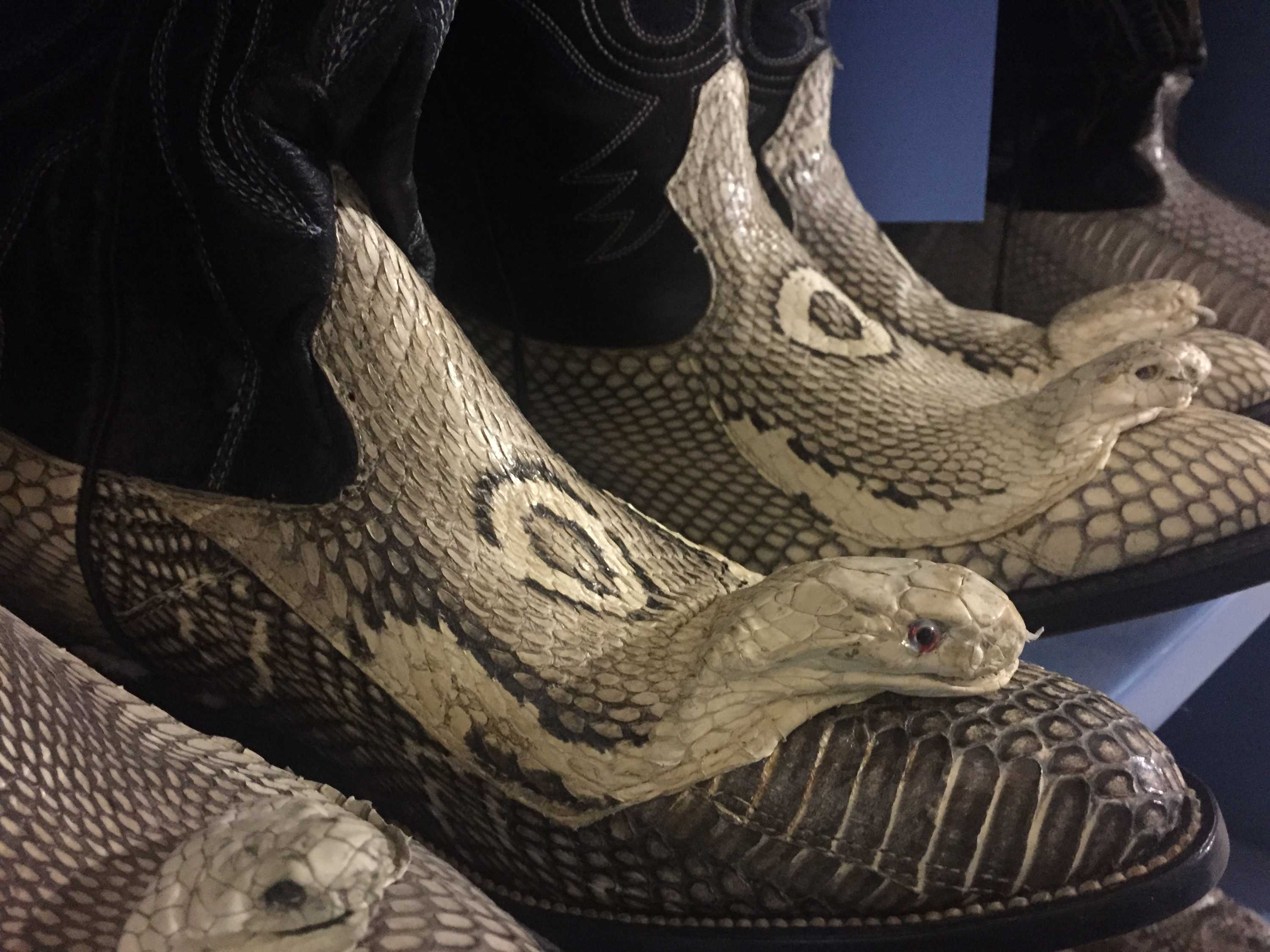 US warehouse of 1.5 million stuffed animals stands as reminder of