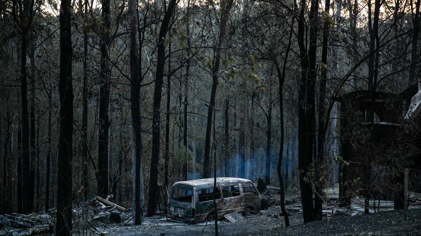 A burnt out car is smoking slightly within charred trees