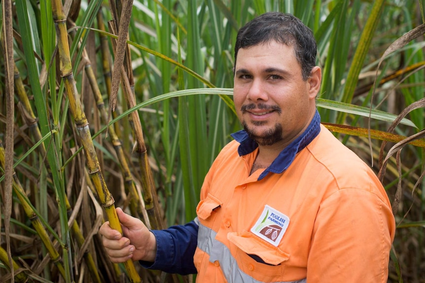 Sugar cane farmer Gerard Puglisi stands in a cane paddock on his farm at Whyanbeel, north of Cairns in far north Queensland.