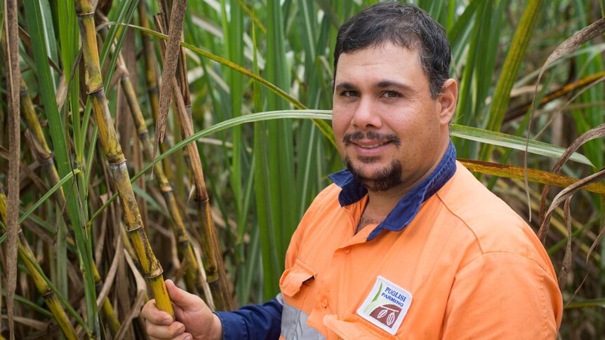 Sugar cane farmer Gerard Puglisi stands in a cane paddock on his farm at Whyanbeel, north of Cairns in far north Queensland.