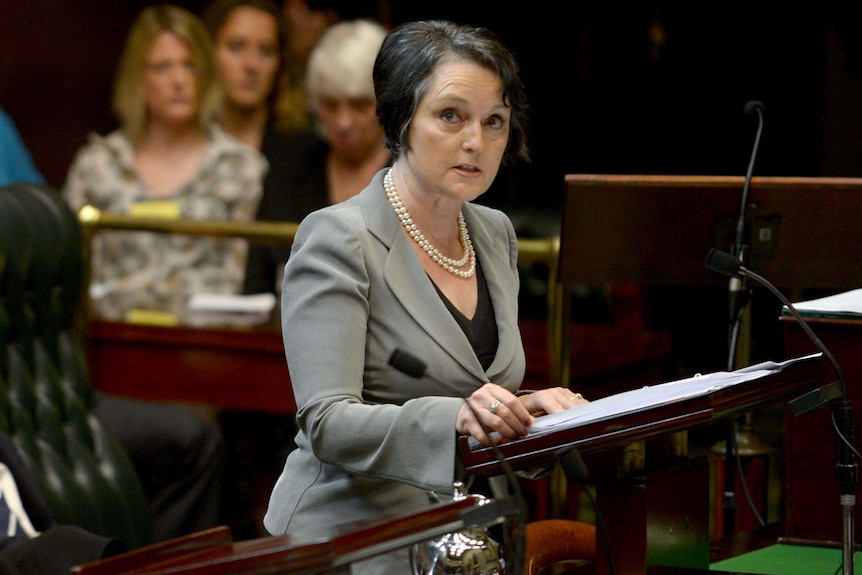 Minister Goward address parliament.