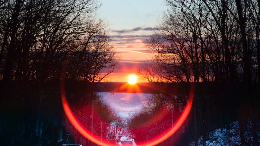 A tree lined road, with the sun setting in the distance