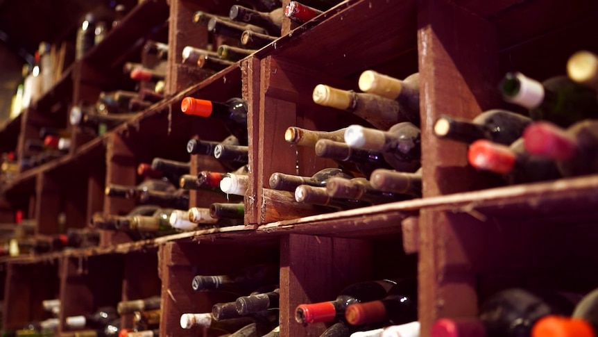 Photo of wine cellar