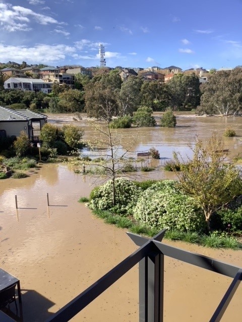 Brown floodwater surrounding homes.