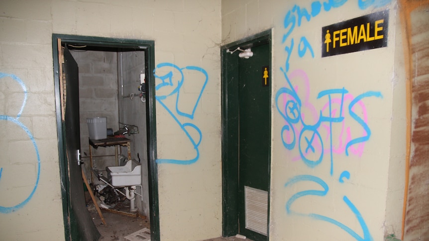 The public toilets at the Macadamia Nut are covered in graffiti.