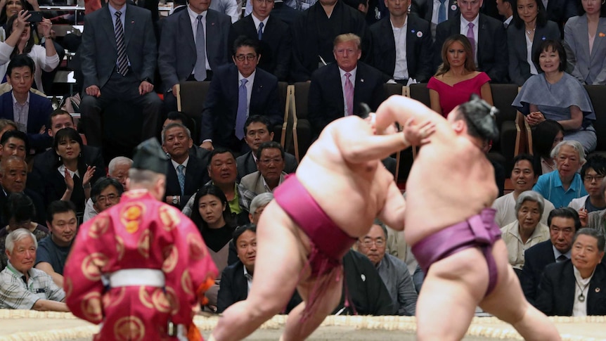 Large men wrestle in the foreground while Trump and Abe watch with their wives from the crowd.