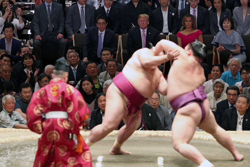 Large men wrestle in the foreground while Trump and Abe watch with their wives from the crowd.