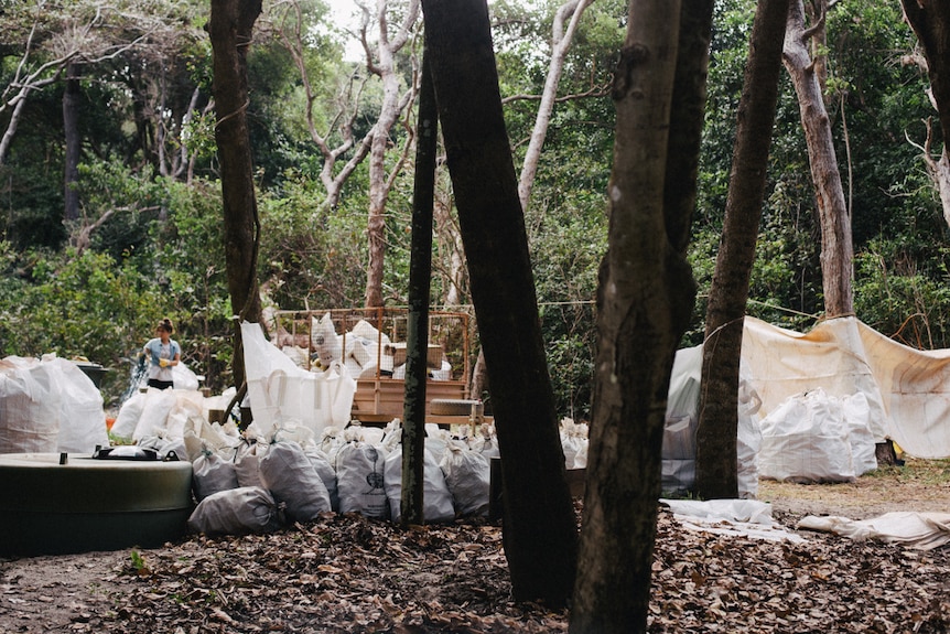 Tonnes of rubbish collected at the beach