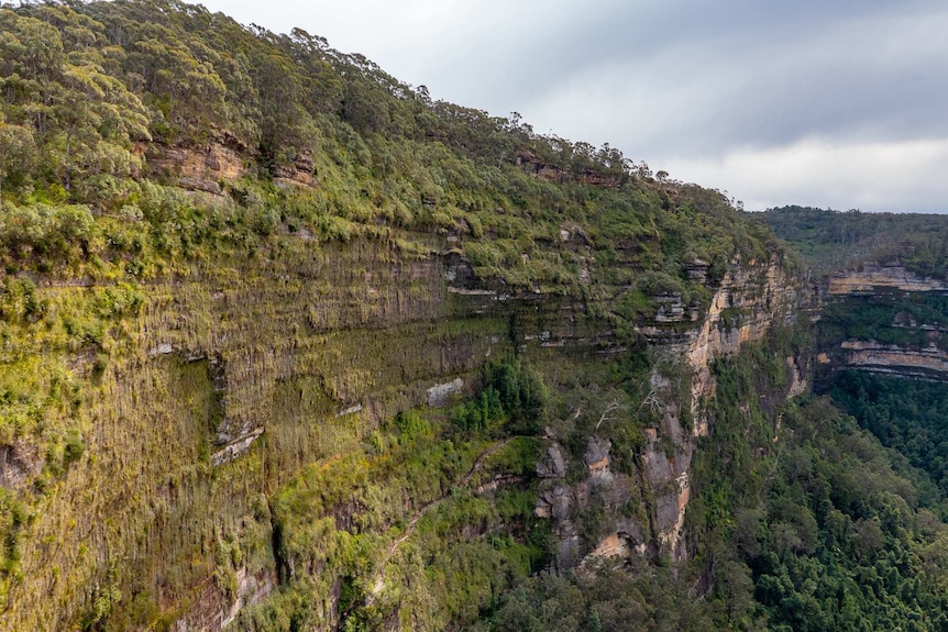 Blue Mountains