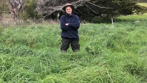 A man staring at the camera and standing in knee deep grass on his farm in Tasmania's Huon Valley