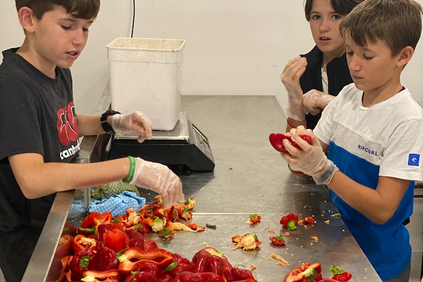 Three children cut up capsicums at a table.