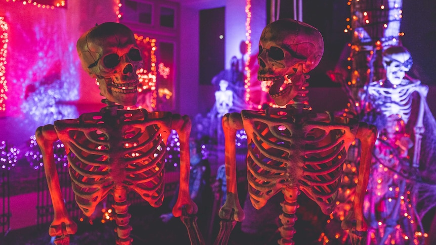 Two skeleton decorations for Halloween