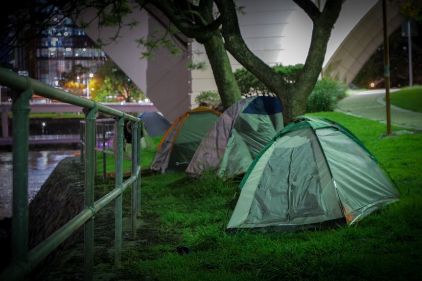 Four green tents pitched on grass next to Brisbane River.