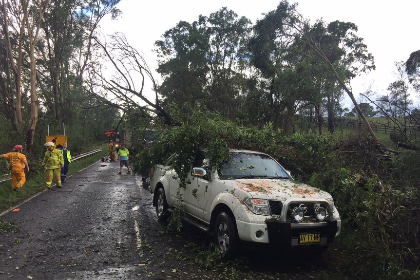 A tree fell on a car at Mulgoa in Sydney's west during severe storms.