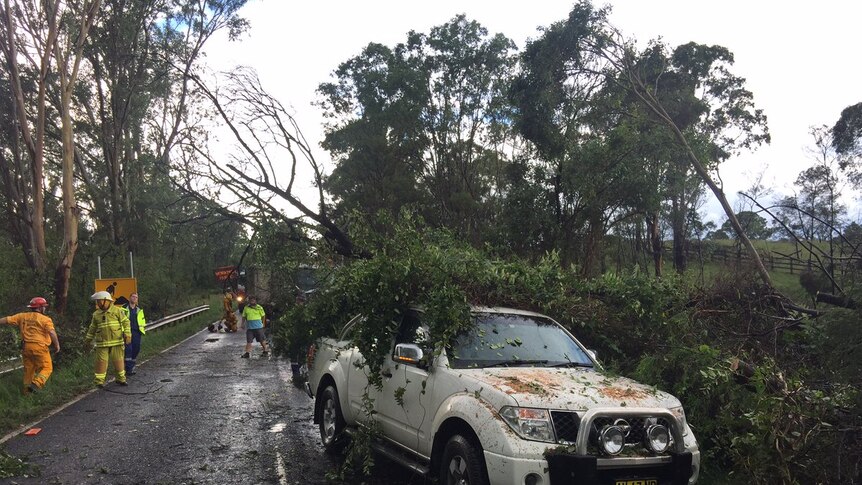 A tree fell on a car at Mulgoa in Sydney's west during severe storms.