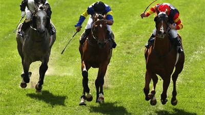 Horses being whipped during a race at Melbourne's Moonee Valley Racecourse in 2008