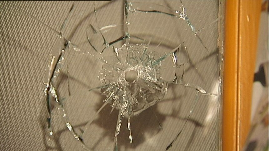 Three pizza shops peppered with bullets