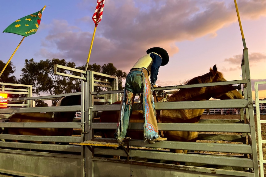 Cowboy checking over the bronc at a rodeo