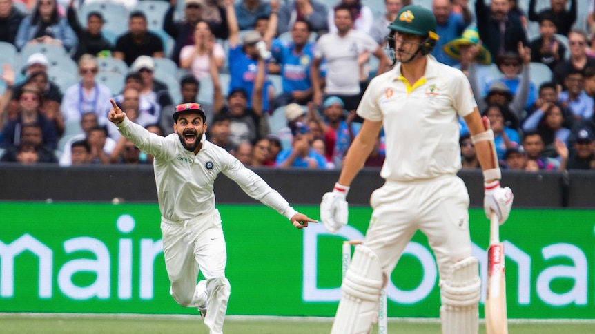 Virat Kohli roars and points his finger in celebration as Pat Cummins looks dejected following his dismissal