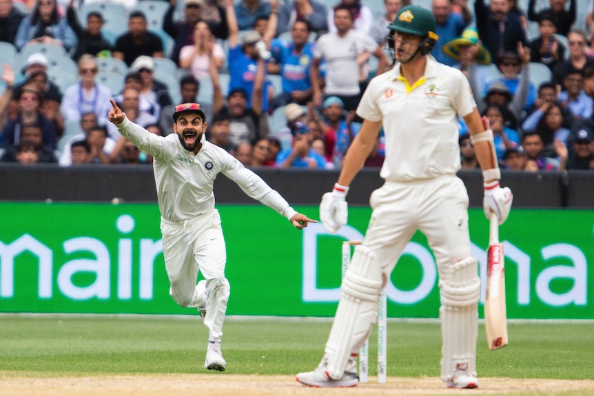 Virat Kohli roars and points his finger in celebration as Pat Cummins looks dejected following his dismissal