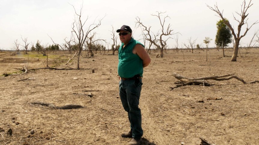A man in jeans, a green shirt and a black baseball cap stands on a dry piece of land surrounded by dead trees.