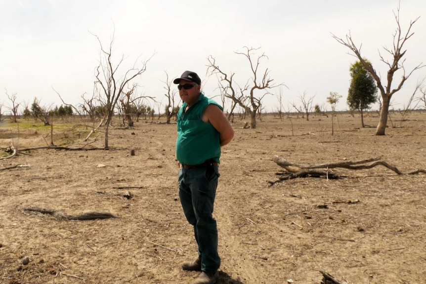 A man in jeans, a green shirt and a black baseball cap stands on a dry piece of land surrounded by dead trees.