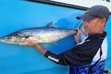 A man in a cap holding a large fish against a blue wall