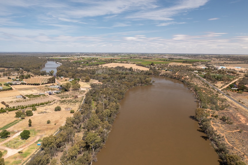 A wide brown river and farms