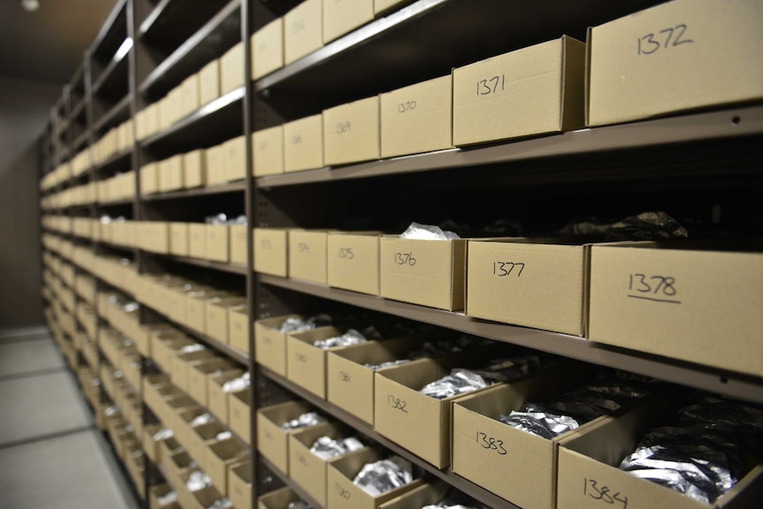 Inside the freezer at the Australian Grains Genebank.