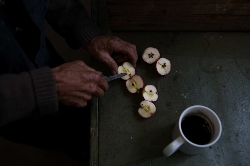 Old hands cut open little apples with a pocket knife, next to a cup of black coffee on an old bench.