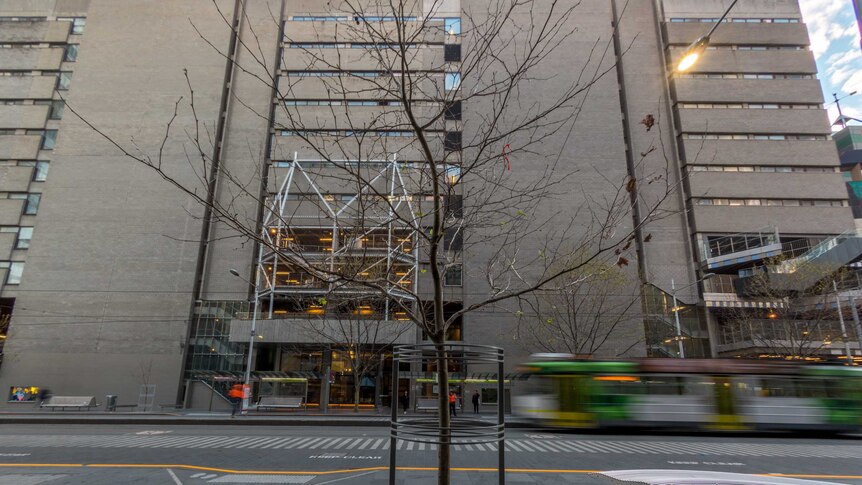 A tram passes behind a twig-like tree with an office block in the background.