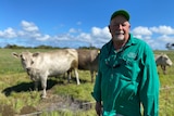 Bernard Atkins stands in a cap and green shirt, in front of silver cows and green pastures