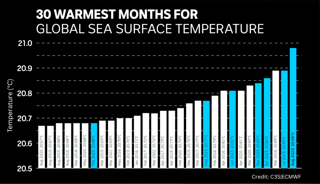 a graph showing sea temperatures