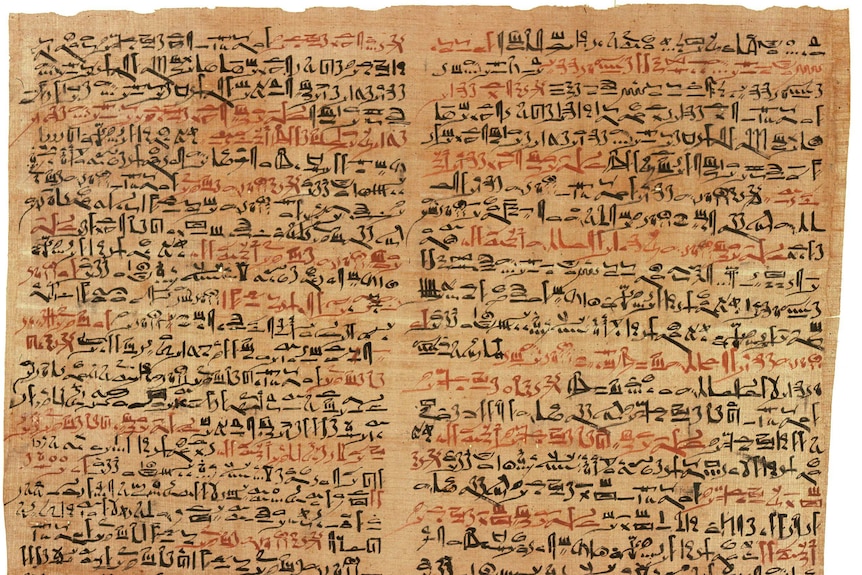 Edwin Smith Papyrus