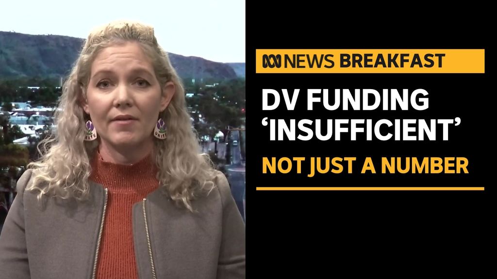 Not Just a Number: National plan author says budget funding for DV is 'disappointing' - Vimarsana News