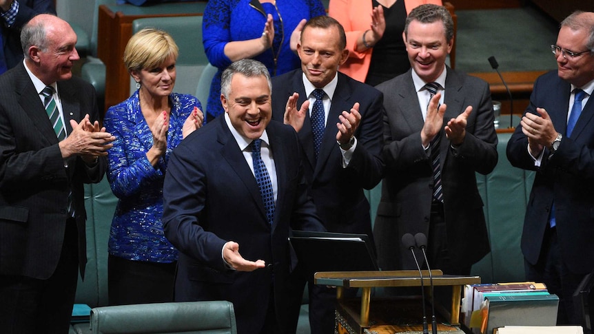 Treasurer, Joe Hockey after delivering his 2015 budget.