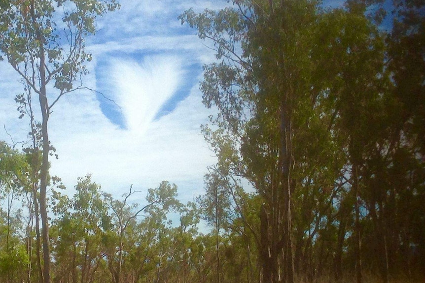 A fallstrike hole framed by gum trees.