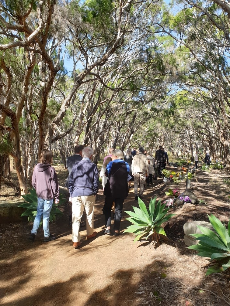 A group of people walking underneath some trees.